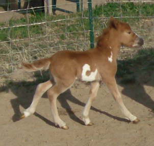 Cody 2 4-09.jpg